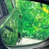 mazda cx-5 2018 quick_quick_KF2P_KF2P-207349 image 5