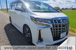 toyota alphard 2019 -TOYOTA--Alphard DBA-AGH30W--AGH30-0246081---TOYOTA--Alphard DBA-AGH30W--AGH30-0246081-