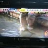 toyota hiace-van 2016 -TOYOTA 【旭川 100ｾ5324】--Hiace Van TRH226K--0016533---TOYOTA 【旭川 100ｾ5324】--Hiace Van TRH226K--0016533- image 5