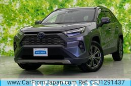 toyota rav4 2022 CFJ1291437