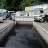 isuzu elf-truck 2004 CFJ0017021 image 9