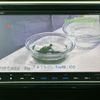 honda stepwagon-spada 2018 quick_quick_6AA-RP5_RP5-1059783 image 9