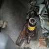 toyota hilux 1999 2829189-ea200165 image 29