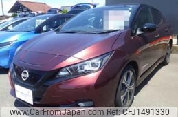 nissan leaf 2021 CFJ1491330