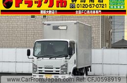 isuzu elf-truck 2010 GOO_NET_EXCHANGE_0403464A30241225W002