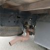 mitsubishi-fuso canter 2012 -MITSUBISHI--Canter TKG-FEB50--FEB50-503987---MITSUBISHI--Canter TKG-FEB50--FEB50-503987- image 10