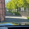cadillac escalade 2022 quick_quick_7BA-T1UL_1GYS47KL3PR184623 image 18