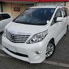 toyota alphard 2009 -TOYOTA--Alphard DBA-ANH20W--ANH20-8065408---TOYOTA--Alphard DBA-ANH20W--ANH20-8065408- image 1