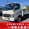 toyota dyna-truck 2017 GOO_NET_EXCHANGE_0730189A30241106W001 image 1