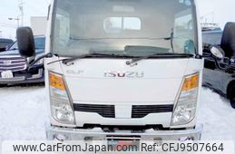 isuzu elf-truck 2007 GOO_NET_EXCHANGE_0301324A30240222W001