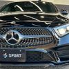 mercedes-benz cls-class 2019 quick_quick_LDA-257314_WDD2573142A033346 image 20