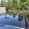 volkswagen golf-variant 2008 -VOLKSWAGEN--VW Golf Variant ABA-1KAXX--WVWZZZ1KZ8M283104---VOLKSWAGEN--VW Golf Variant ABA-1KAXX--WVWZZZ1KZ8M283104- image 12