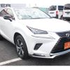 lexus nx 2020 CFJ1547687 image 20