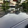 bmw 3-series 2014 CFJ1681711 image 7