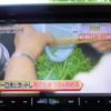 suzuki spacia 2023 -SUZUKI 【岐阜 480ﾌ5524】--Spacia Base 5BD-MK33V--MK33V-110647---SUZUKI 【岐阜 480ﾌ5524】--Spacia Base 5BD-MK33V--MK33V-110647- image 34