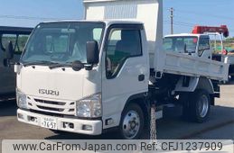 isuzu elf-truck 2019 GOO_NET_EXCHANGE_0940114A30250530W004
