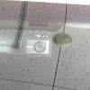 toyota land-cruiser-prado 2014 CFJ1636027 image 8
