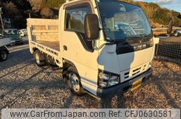 isuzu elf-truck 2006 GOO_NET_EXCHANGE_0801781A30250110W002