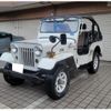 mitsubishi jeep 1995 quick_quick_J55_J55-11126 image 9