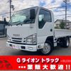 isuzu elf-truck 2017 GOO_NET_EXCHANGE_0730189A30240926W002 image 1