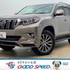 toyota land-cruiser-prado 2019 -TOYOTA--Land Cruiser Prado LDA-GDJ150W--GDJ150-0044948---TOYOTA--Land Cruiser Prado LDA-GDJ150W--GDJ150-0044948- image 1