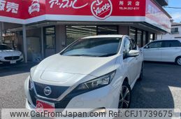 nissan leaf 2019 CFJ1739675