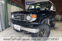 toyota landcruiser-70 1994 GOO_JP_700030319130250209003