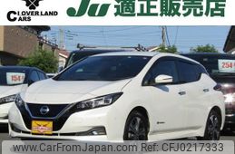 nissan leaf 2019 quick_quick_ZAA-ZE1_ZE1-064681