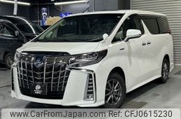 toyota alphard 2020 -TOYOTA--Alphard 6AA-AYH30W--AYH30-0113867---TOYOTA--Alphard 6AA-AYH30W--AYH30-0113867-