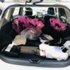 toyota prius-α 2016 CFJ1551780 image 13