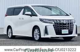 toyota alphard 2019 -TOYOTA--Alphard DBA-AGH30W--AGH30-0256795---TOYOTA--Alphard DBA-AGH30W--AGH30-0256795-