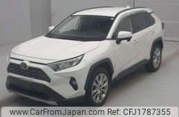 toyota rav4 2019 CFJ1787355