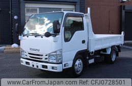 isuzu elf-truck 2019 GOO_NET_EXCHANGE_0401987A30250205W002