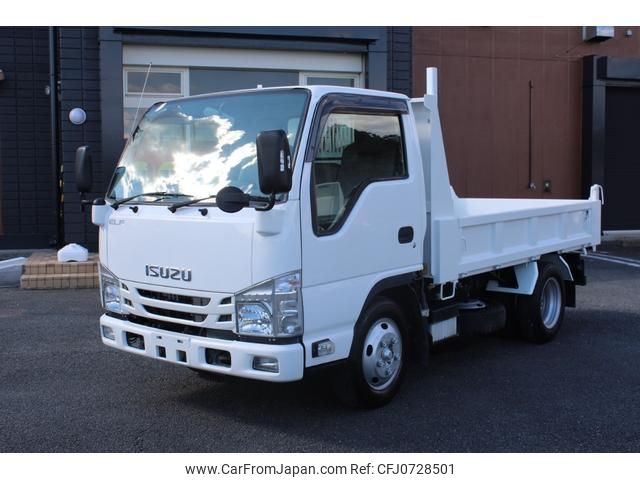 isuzu elf-truck 2019 GOO_NET_EXCHANGE_0401987A30250205W002 image 1