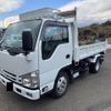 isuzu elf-truck 2019 GOO_NET_EXCHANGE_0510869A30250311W001 image 1