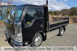 isuzu elf-truck 2019 GOO_NET_EXCHANGE_0510869A30250225W001