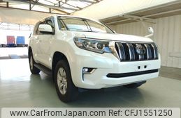 toyota land-cruiser-prado 2019 CFJ1551250
