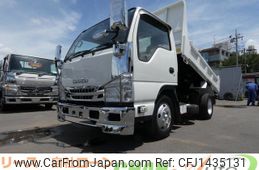 isuzu elf-truck 2010 GOO_NET_EXCHANGE_0520179A30250717W001