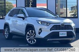 toyota rav4 2019 CFJ0861260