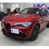 alfa-romeo stelvio 2019 quick_quick_7BA-94929_K7C43598 image 1