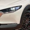 mazda cx-3 2019 -MAZDA--CX-30 5BA-DMEP--DMEP-102664---MAZDA--CX-30 5BA-DMEP--DMEP-102664- image 14