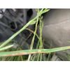 mazda demio 2019 -MAZDA--Demio LDA-DJ5FS--DJ5FS-510222---MAZDA--Demio LDA-DJ5FS--DJ5FS-510222- image 19