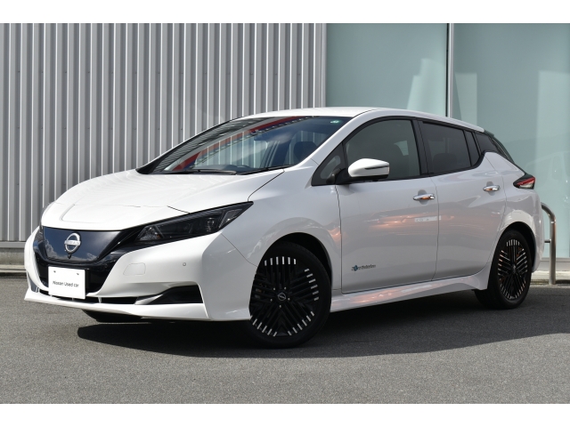 2024 Nissan Leaf ZAA-ZE1 2WD - Car Price $16,550