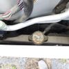suzuki carry-truck 2007 CFJ1614090 image 14