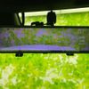 toyota hilux-pick-up 2023 CFJ1385916 image 12