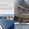subaru impreza-g4 2019 CFJ1793324 image 7