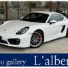 porsche cayman 2013 -PORSCHE--Porsche Cayman ABA-981MA123--WP0ZZZ98ZEK180991---PORSCHE--Porsche Cayman ABA-981MA123--WP0ZZZ98ZEK180991- image 1