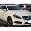 mercedes-benz a-class 2014 quick_quick_DBA-176042_WDD1760422J197619 image 1