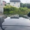 toyota probox-van 2019 CFJ1554061 image 9