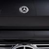 mercedes-benz g-class 2023 quick_quick_3DA-463350_W1N4633502X474411 image 6